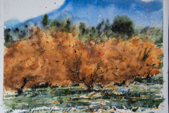 Paisaje-35