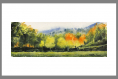 Paisaje-356
