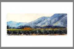 Paisaje-357