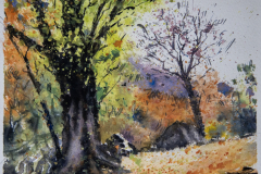 Paisaje-36