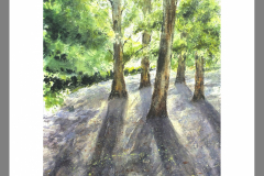 Paisaje-360