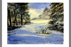 Paisaje-363