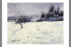 Paisaje-364