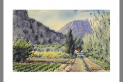 Paisaje-371