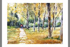 Paisaje-376