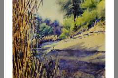 Paisaje-377