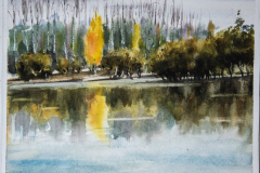 Paisaje-38