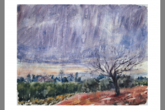 Paisaje-387
