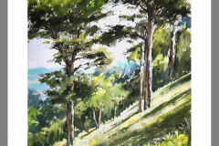 Paisaje-388