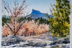 Paisaje-39