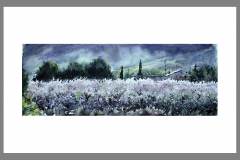 Paisaje-398
