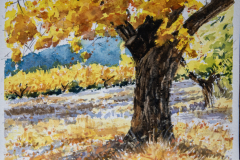 Paisaje-40
