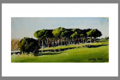 Paisaje-406