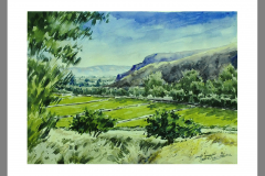 Paisaje-416