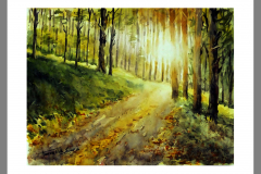 Paisaje-417