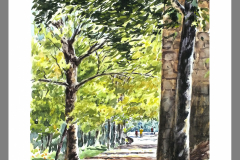Paisaje-427