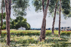 Paisaje-45