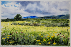 Paisaje-46