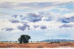Paisaje-50