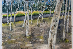 Paisaje-56