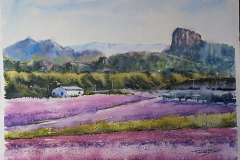 Paisaje-57