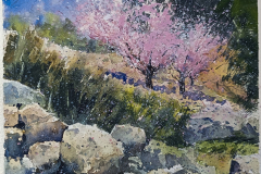 Paisaje-61