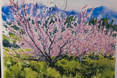 Paisaje-62