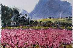 Paisaje-64