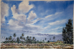 Paisaje-67
