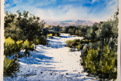 Paisaje-72
