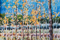 Paisaje-96