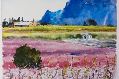 Primavera-Cieza-2-2-copia