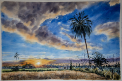 Puesta-de-sol-en-la-huerta
