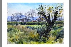 Rincón-de-la-huerta-2
