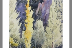 Sierra-de-Segura1