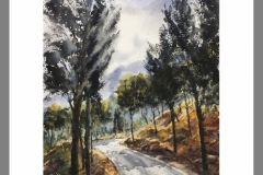 Subida-a-la-Cresta-del-Gallo