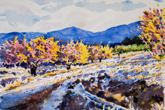 Tarde-de-otono-frutales-en-Calasparra-copia