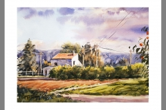 Tarde-en-la-huerta
