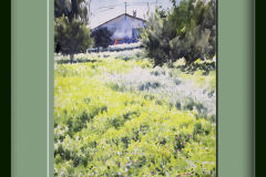Vinagrillo