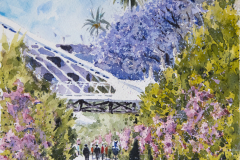 1_Paseo-matinal