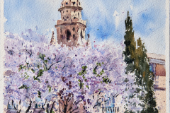 Murcia-Torre-catedral-Glorieta-jacarandas-copia