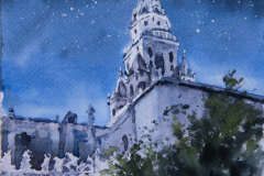 Nocturno-torre-de-la-Catedral-2024-copia