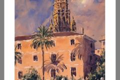 Torre-de-la-Catedral-038